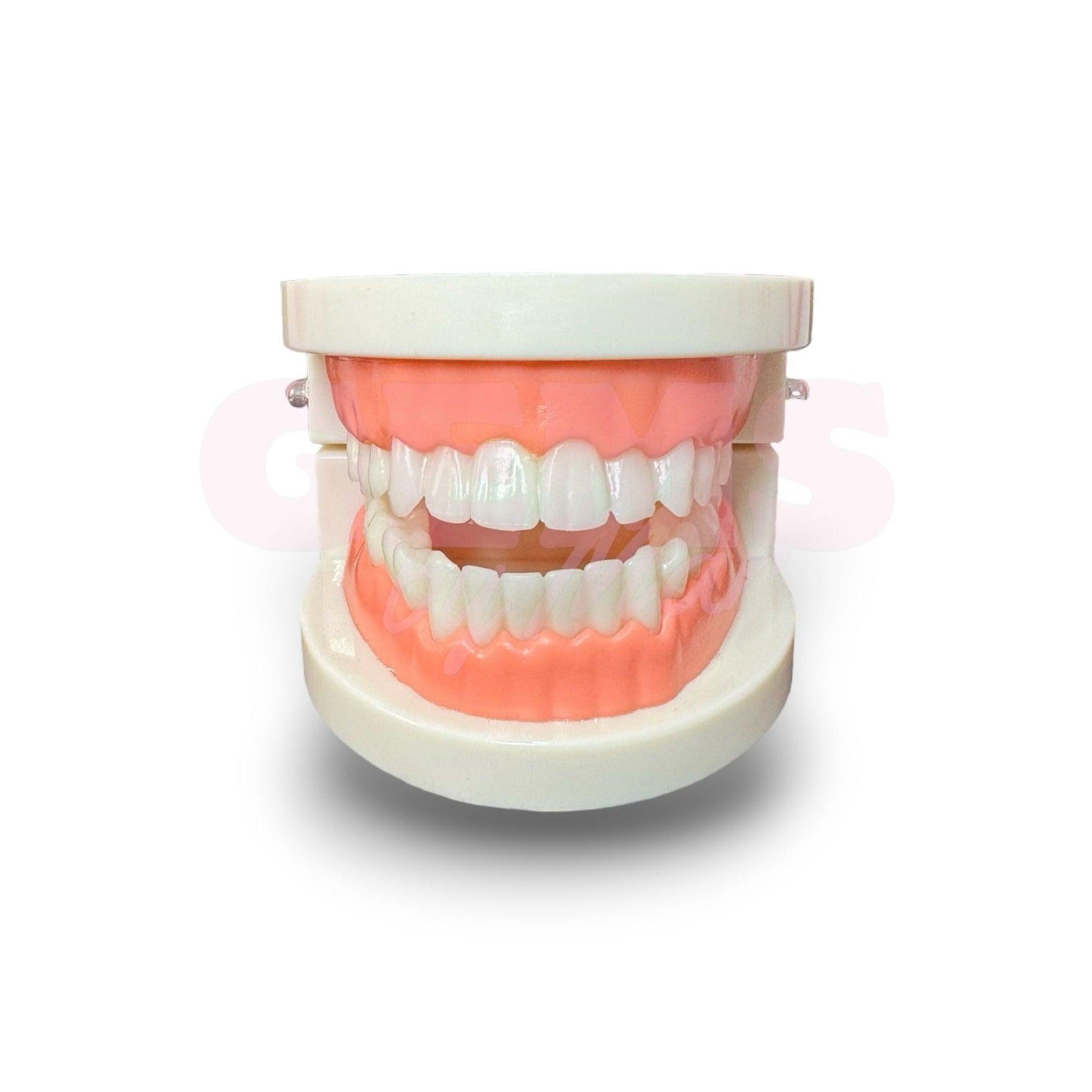 Modelo dental - Gems By Mar