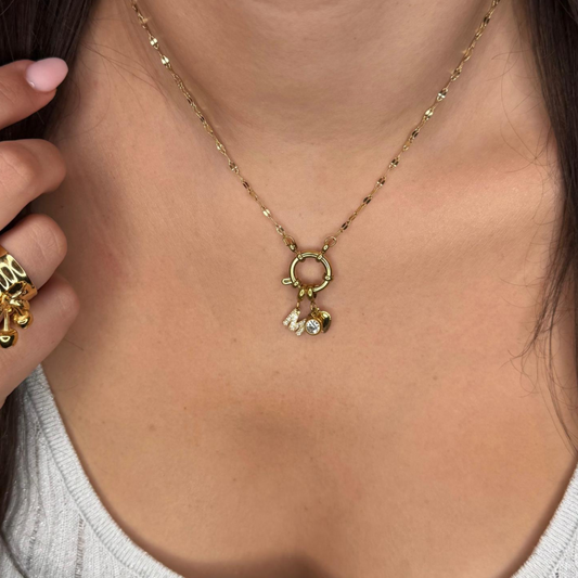 Collar Charms